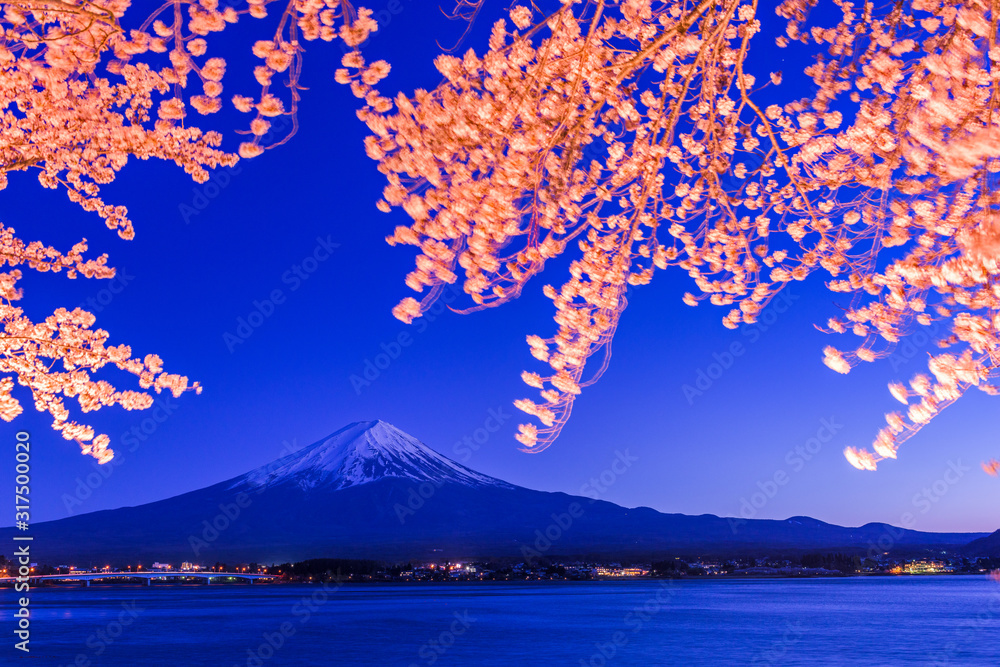 春天的日本富士山，川口湖畔