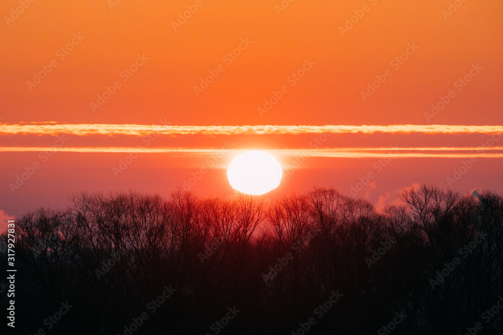 地平线森林上空的太阳。橙色日落的天空。日落时夜空的自然颜色。自然