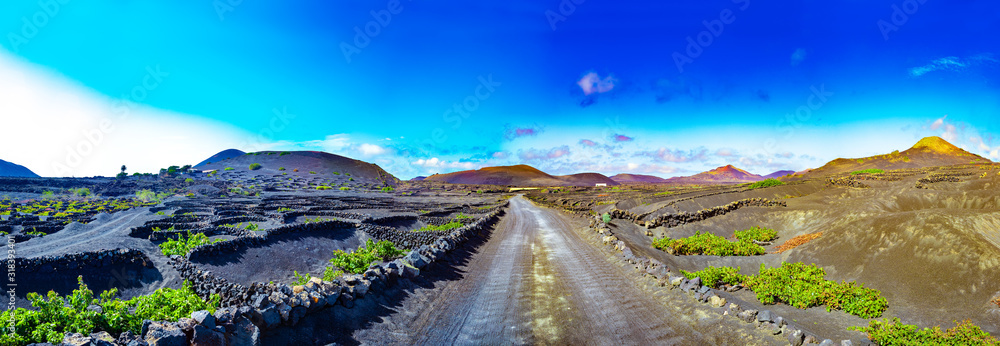 黑色火山土上的La Geria葡萄园。火山葡萄园的风景。兰萨罗特。加那利