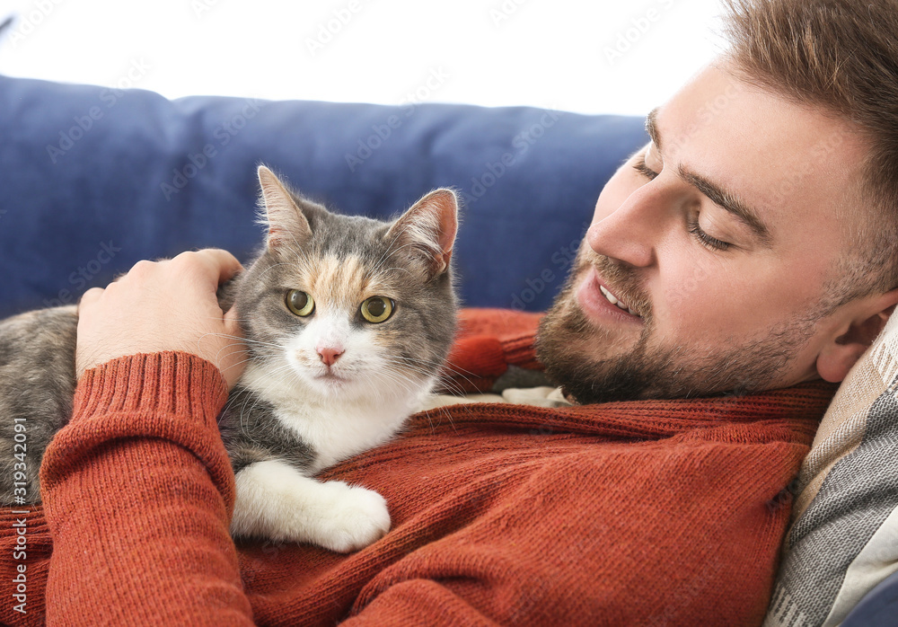 男人和可爱的猫躺在家里的沙发上