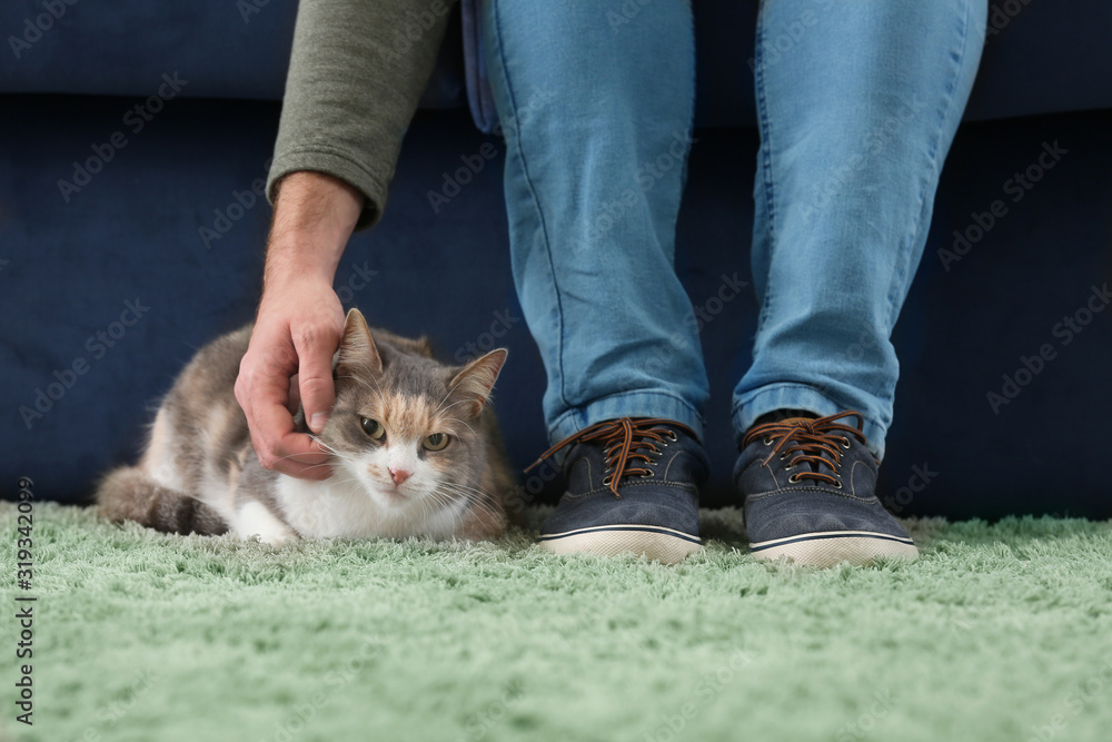 家里养着可爱猫的男人