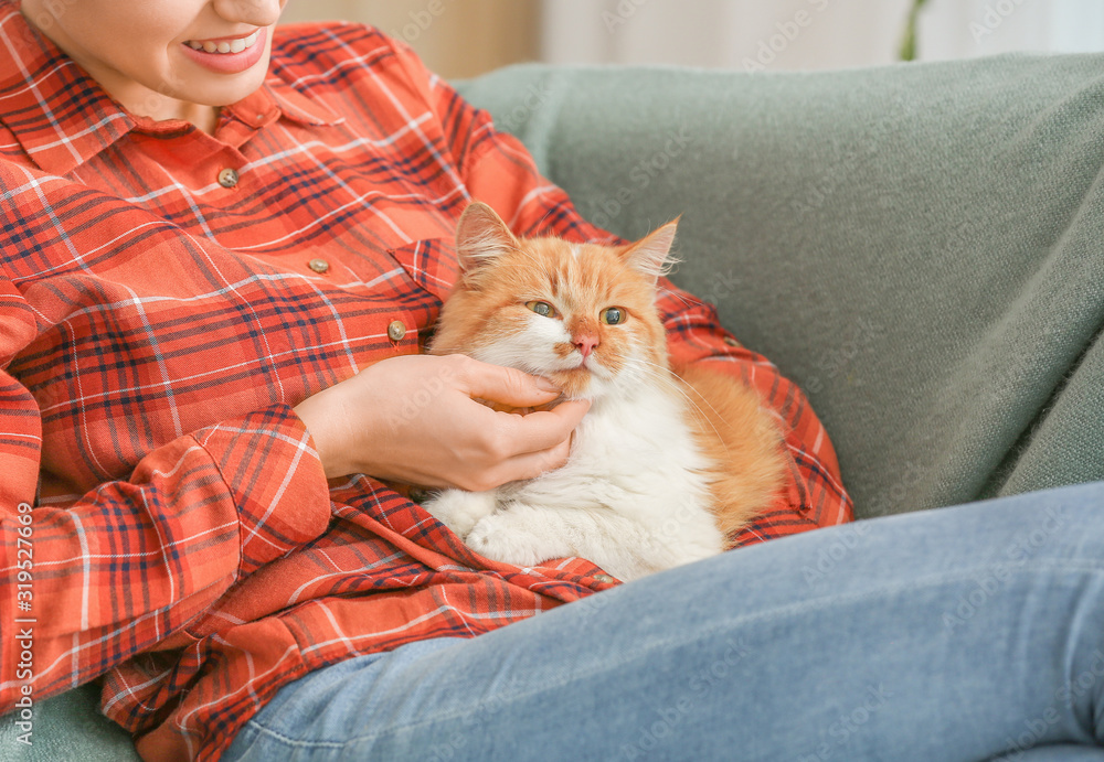 漂亮的年轻女人和可爱的猫坐在家里的沙发上