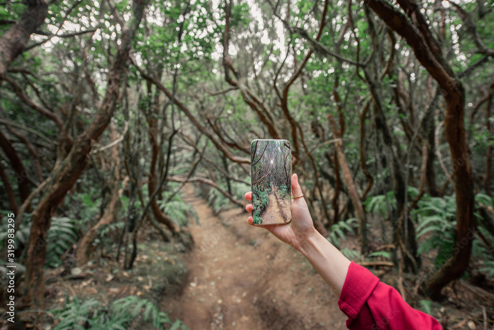 一名女子在特尼尔岛的绿色森林中用智能手机拍摄美丽的雨林