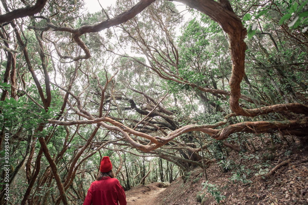 穿着红色衬衫和帽子的女士在美丽的雨林中徒步旅行，在特内里夫