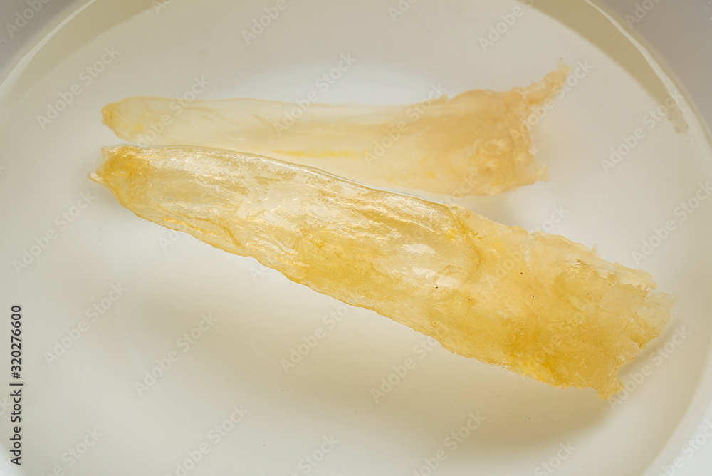 Traditional health and nourishing food Maw, catfish glue soaked in water