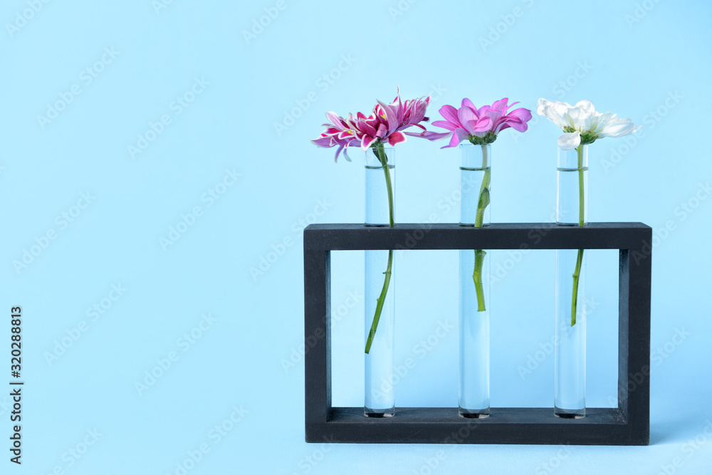 Test tubes with flowers on color background