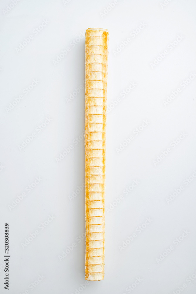 A dried shark bone on white background