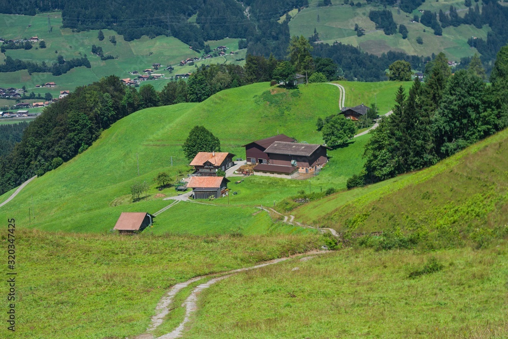 Beautiful swiss alps mountains. Alpine meadows. farmhouses. village 