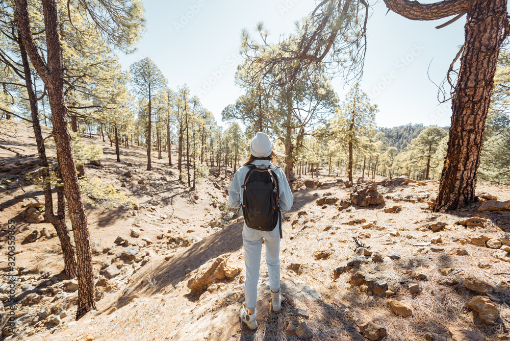 Beautiful landscape of the volcanic rocks and pine forest with young traveler walking with backpack,