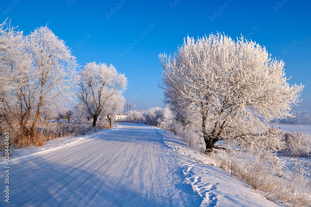 冬季柔和的雾凇和雪景