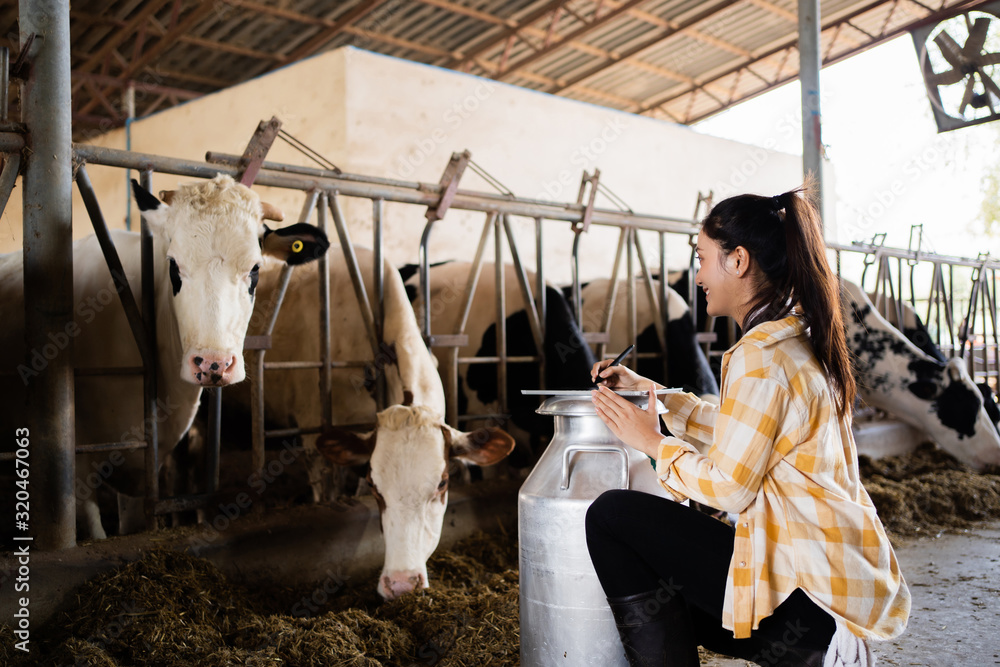 Farmers are recording details of each cow on the farm.