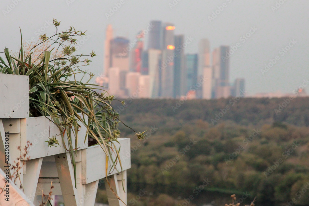 Krylatsky山丘可以欣赏到莫斯科市的全景。毕竟，莫斯科是最环保的首都之一