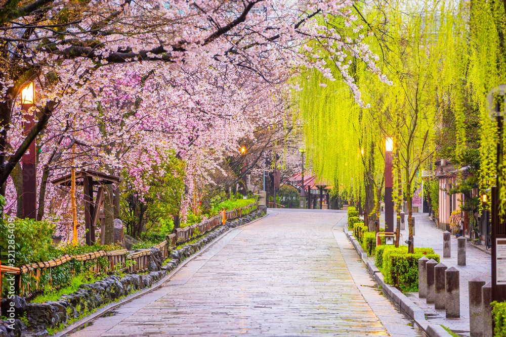 Gion Shirakawa, Kyoto, Japan in Spring