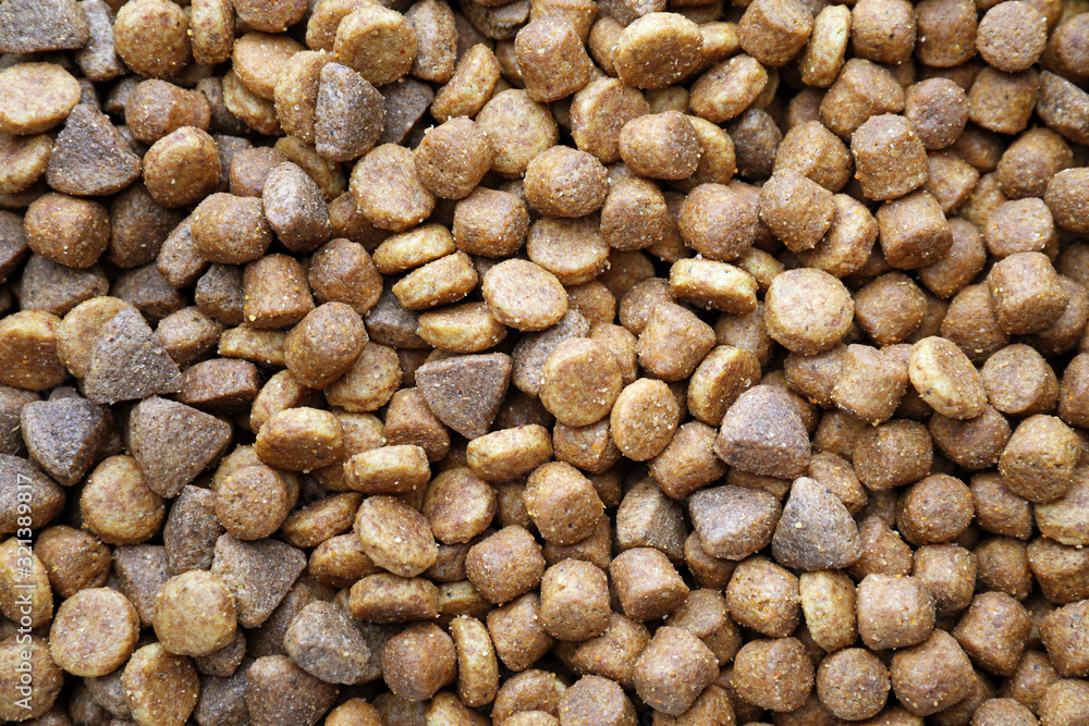 Dry pet food as background