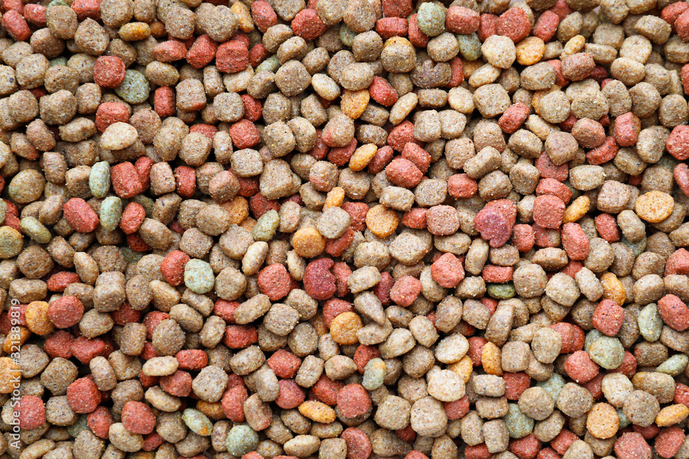 Dry pet food as background