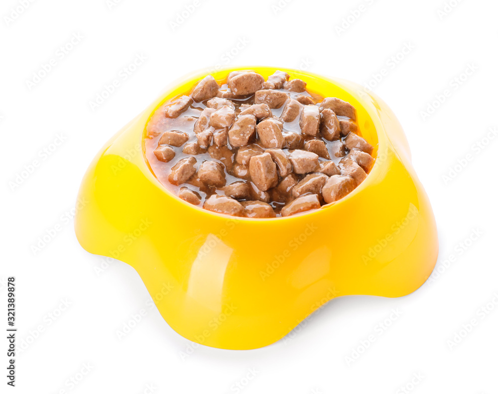 Bowl with pet food on white background