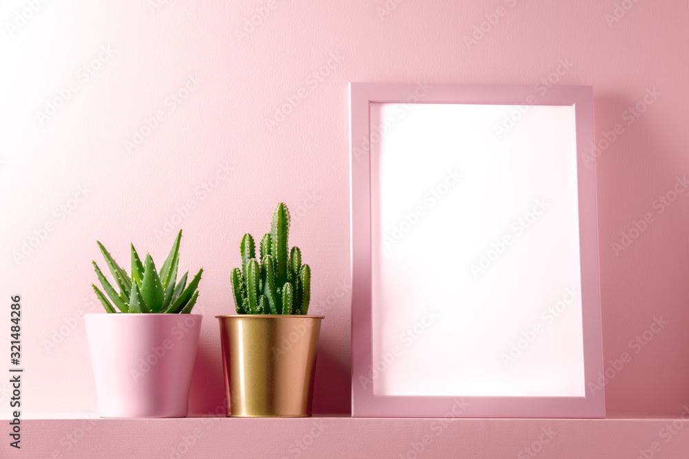 Pink Frame With Succulent Plants