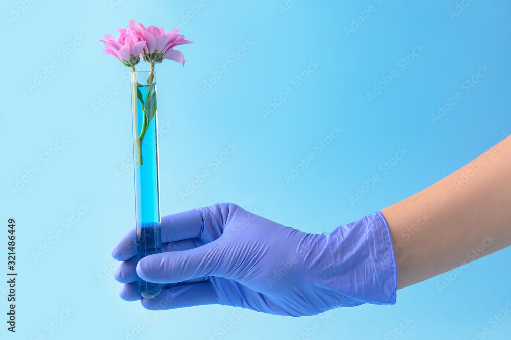 Hand of scientist holding test tube with flower on color background