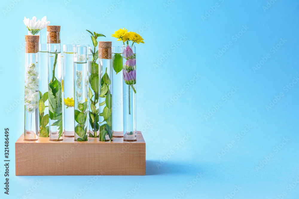 Test tubes with flowers on color background