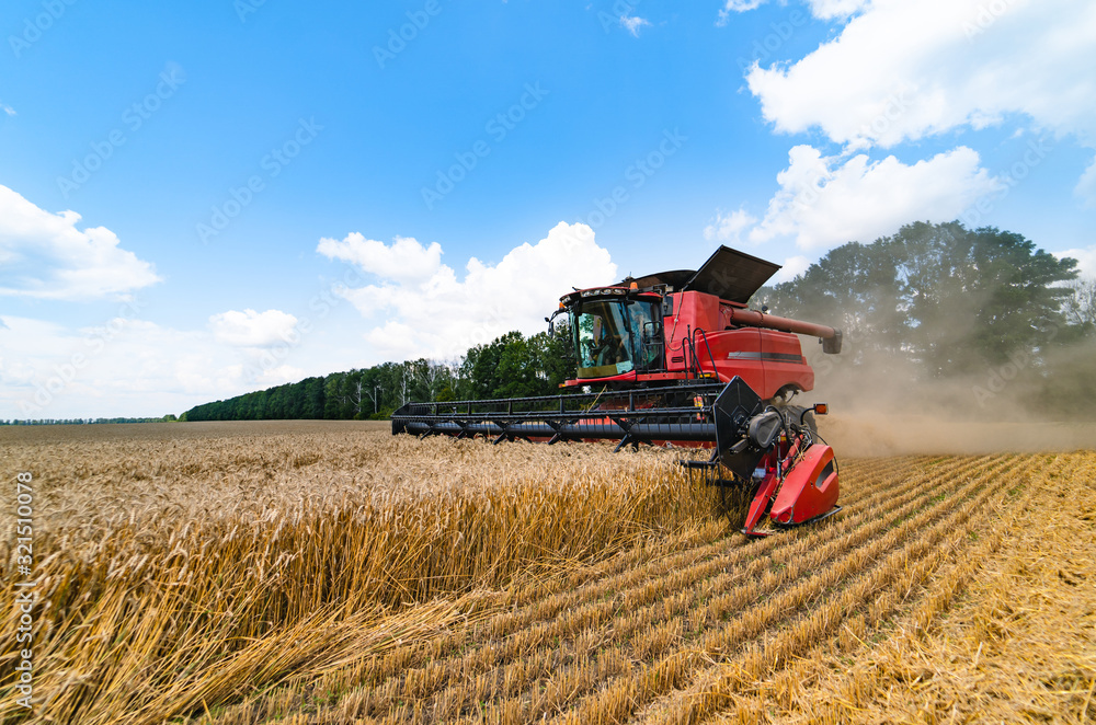 combine harvester working on a wheat field