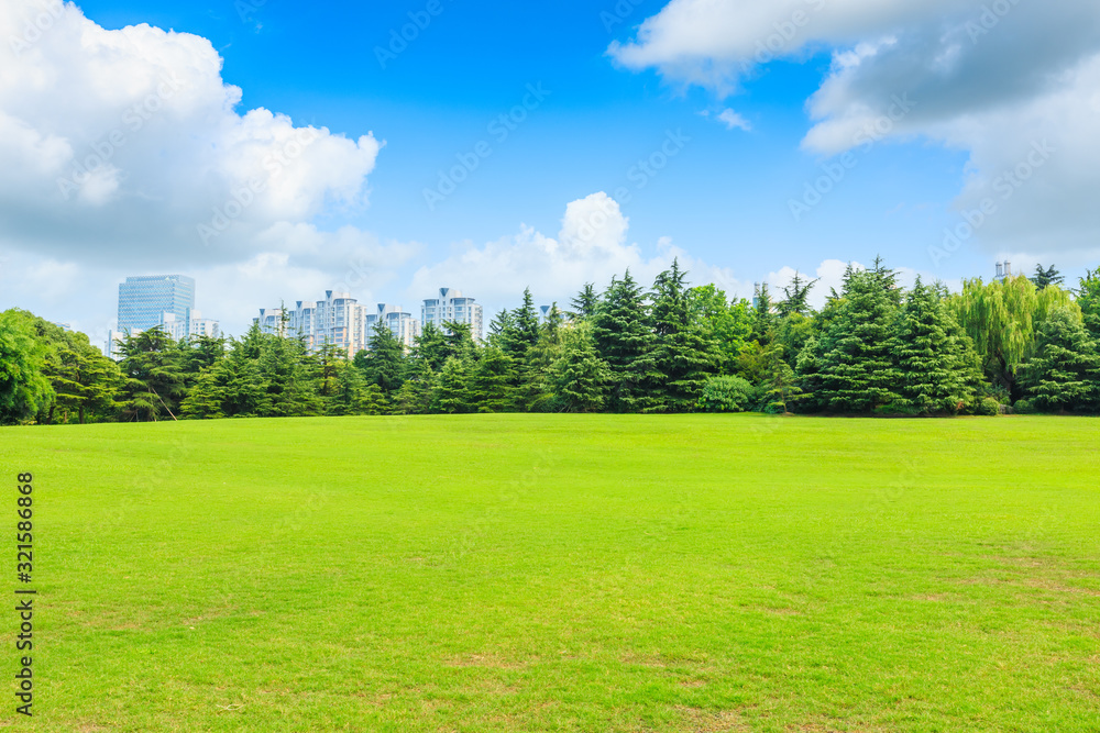 城市公园里有建筑的绿草和森林