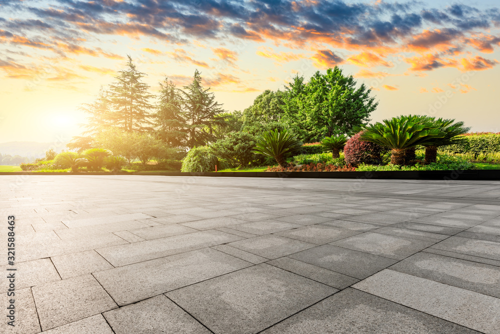 Square ground and green forest in summer.