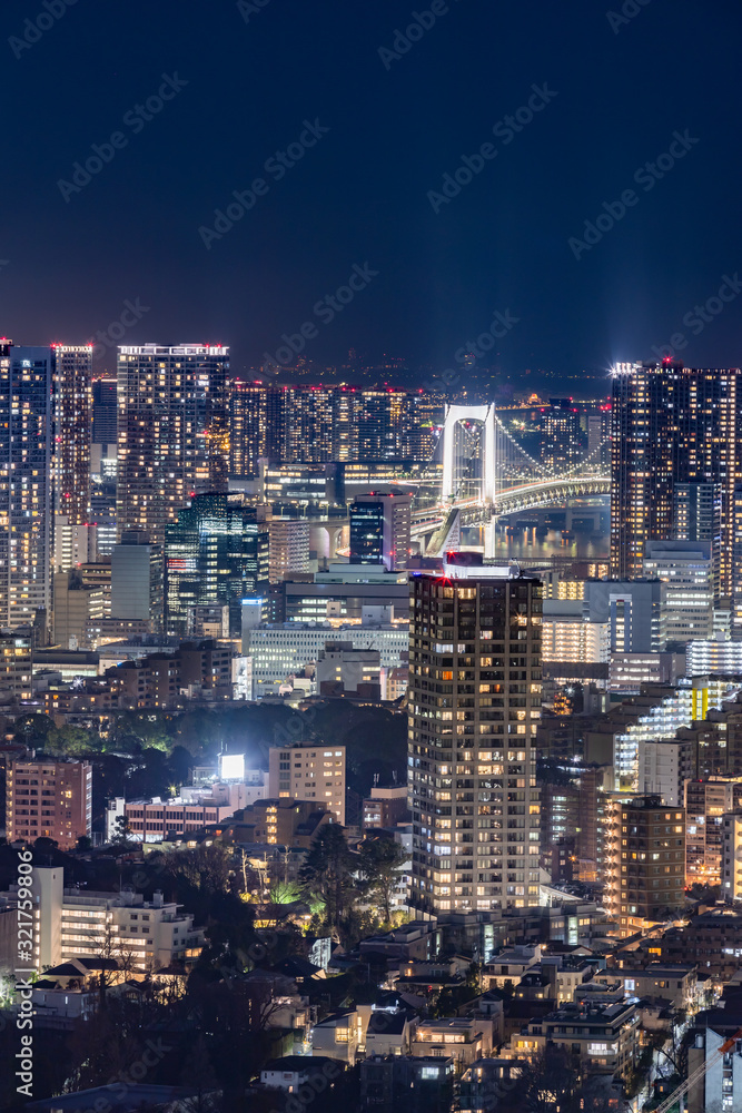 光が溢れる東京の夜景