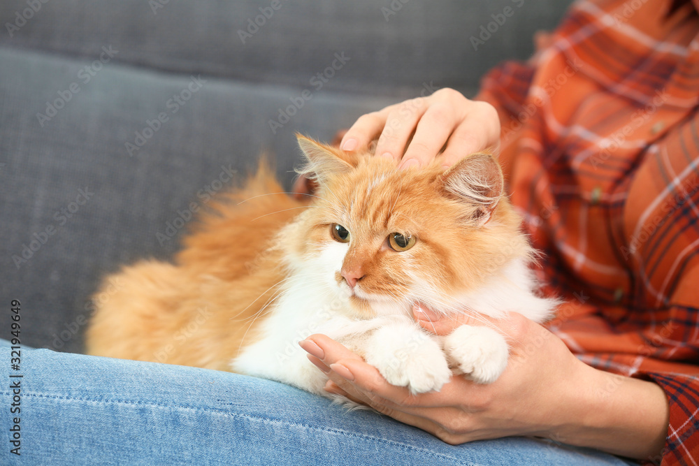 Beautiful young woman with cute cat sitting on sofa at home