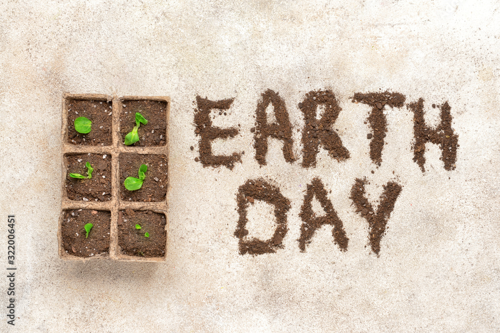 Pots with plants and text EARTH DAY on light background