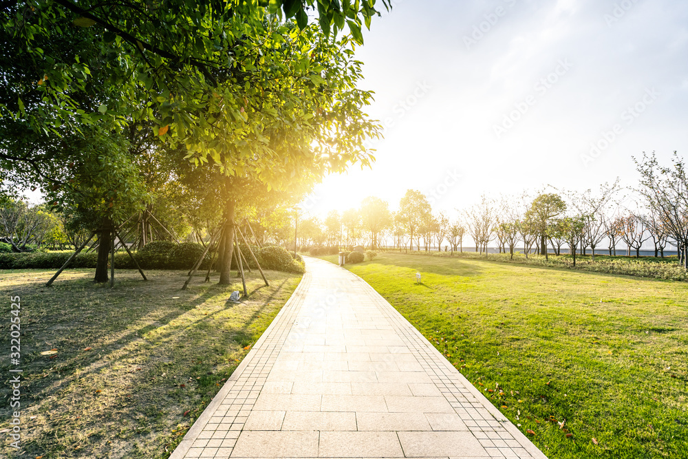 road in park