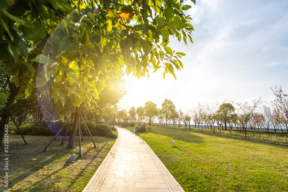 road in park