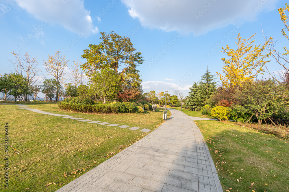 road in park