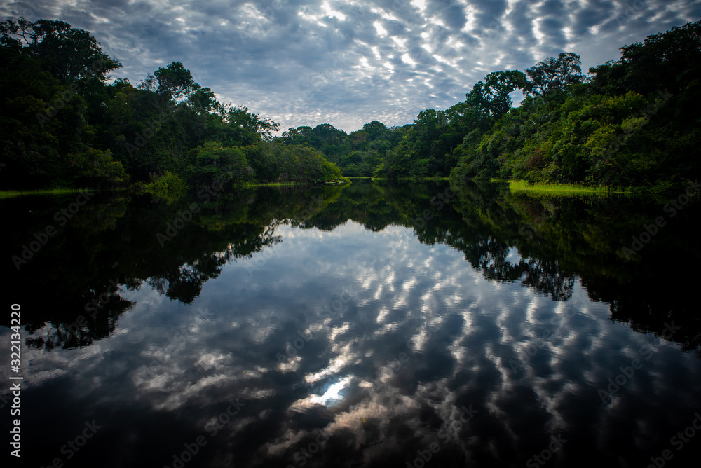 The Trombetas River is one of the main rivers of the Brazilian Amazon rainforest and holds an exuber