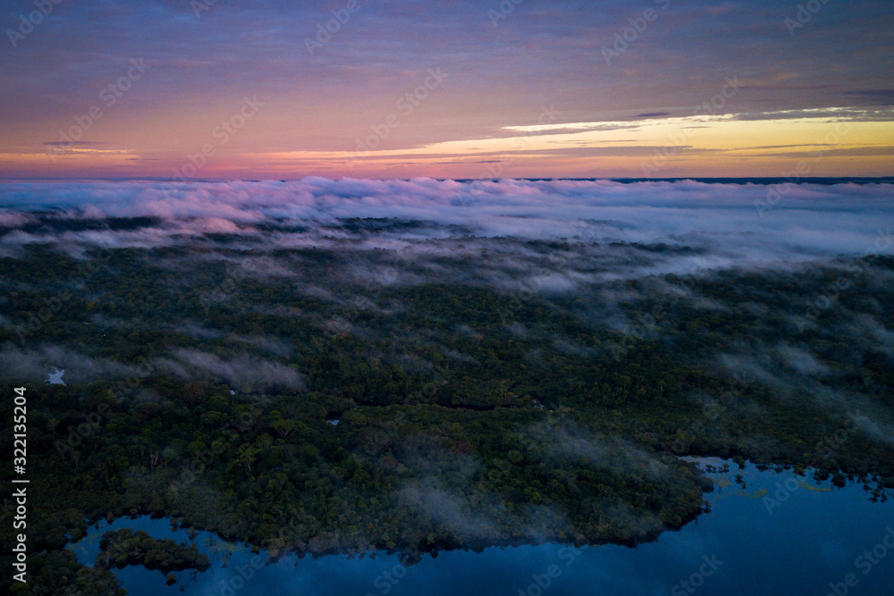 Amazon rainforest seen from above reveals the beauty of its rivers, trees and animals. Pará, Brazil