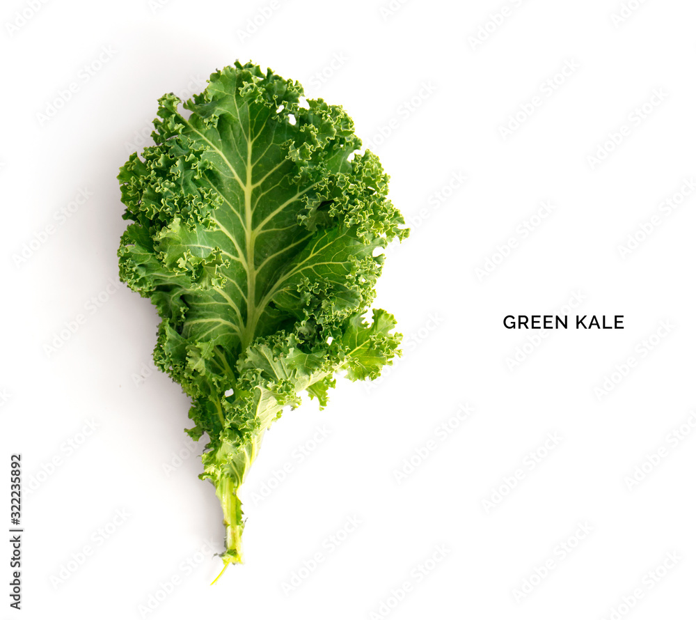 Creative layout made of kale. Flat lay. Food concept.