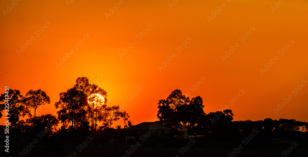 Amazing sunset and sunrise.Panorama silhouette tree in africa with sunset.Dark tree on open field dr