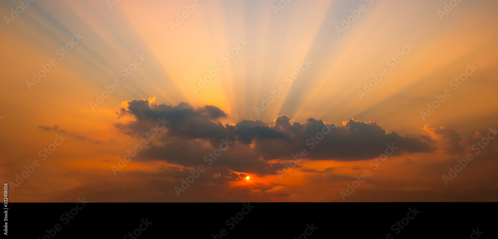 Amazing sunset and sunrise.Panorama silhouette tree in africa with sunset.Tree silhouetted against a