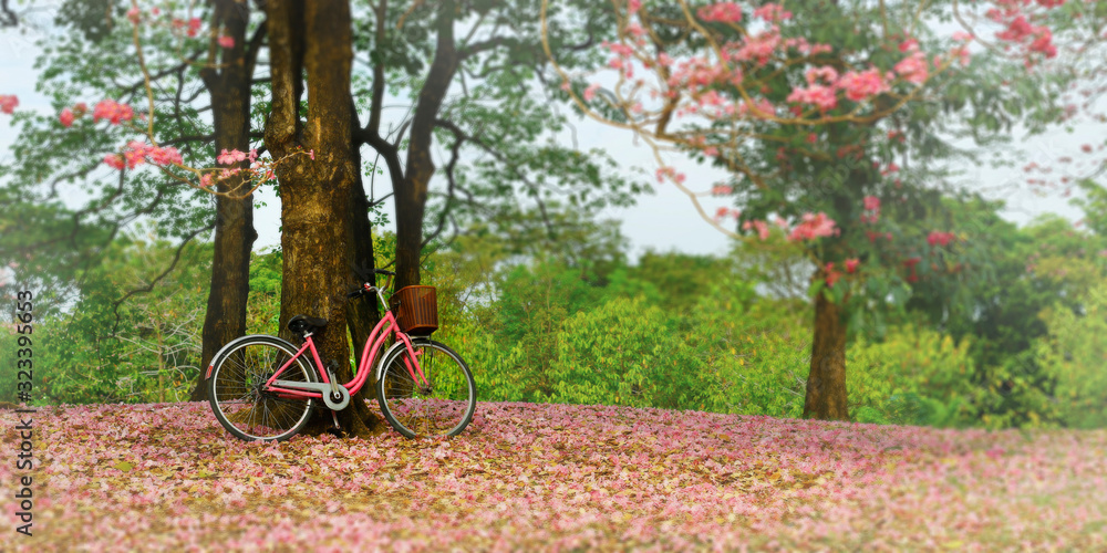 BICYCLE WITH PINK FLOWERS FELT ON THE FLOOR IN A PARK 