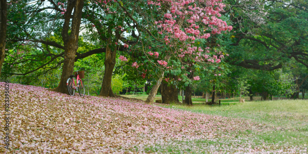 BICYCLE WITH PINK FLOWERS FELT ON THE FLOOR IN A PARK 