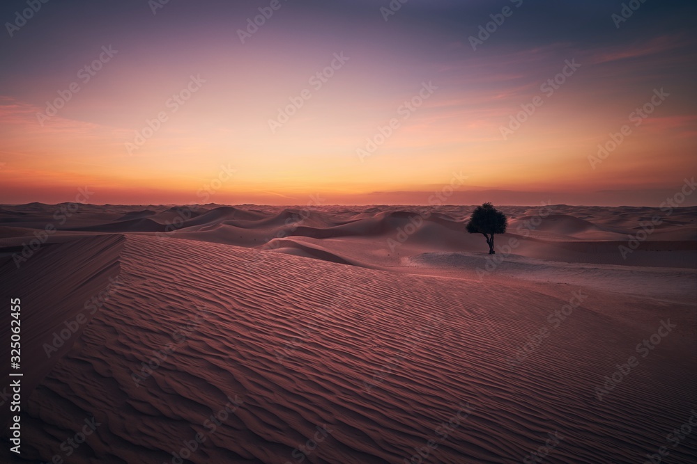 Desert landscape at dusk