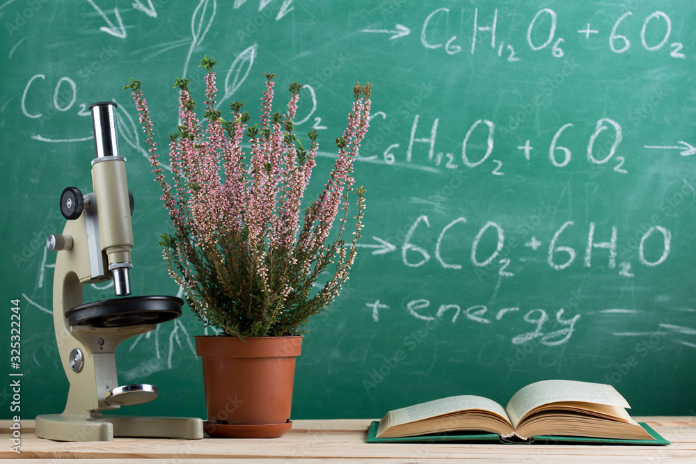 Education and sciences concept - book and microscope on the desk in the auditorium, photosynthesis f