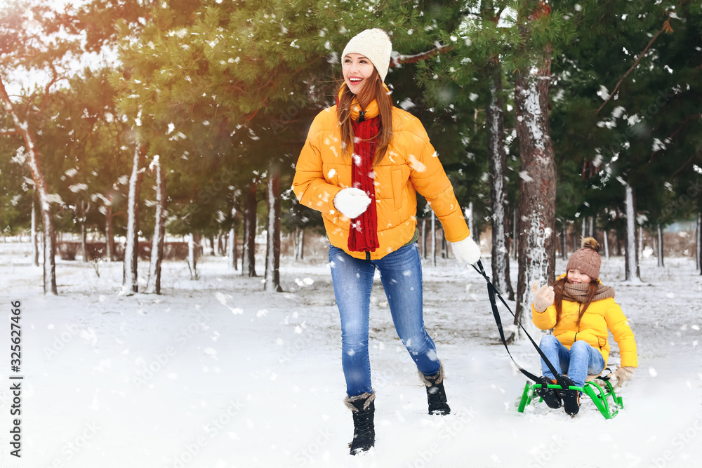 Mother with little daughter sledging in park on winter day