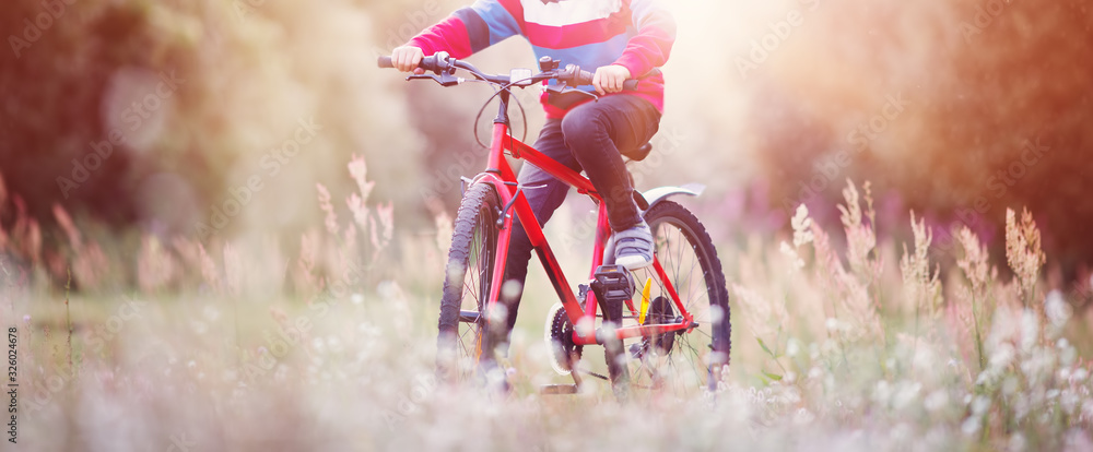 child on a bicycle in the forest in early morning