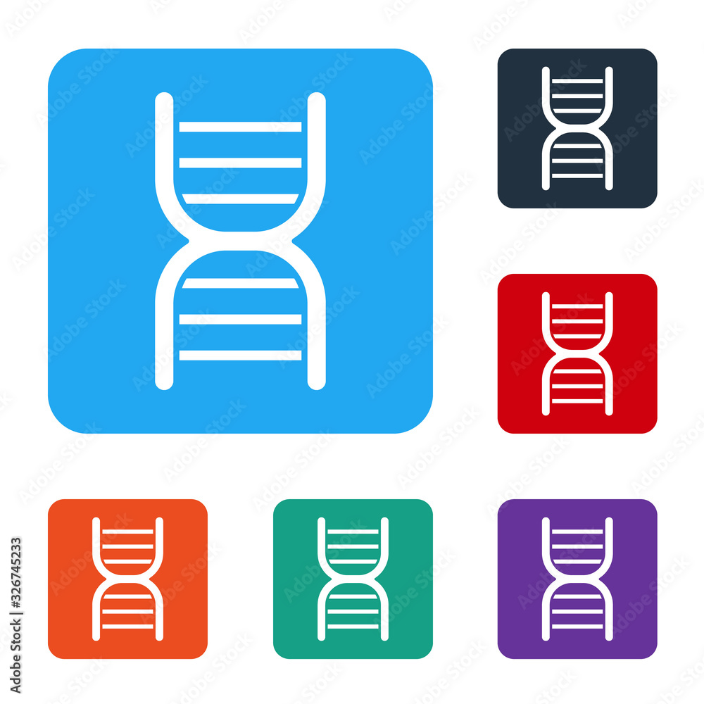白色背景上隔离的白色DNA符号图标。将图标设置为彩色方形按钮。矢量照明