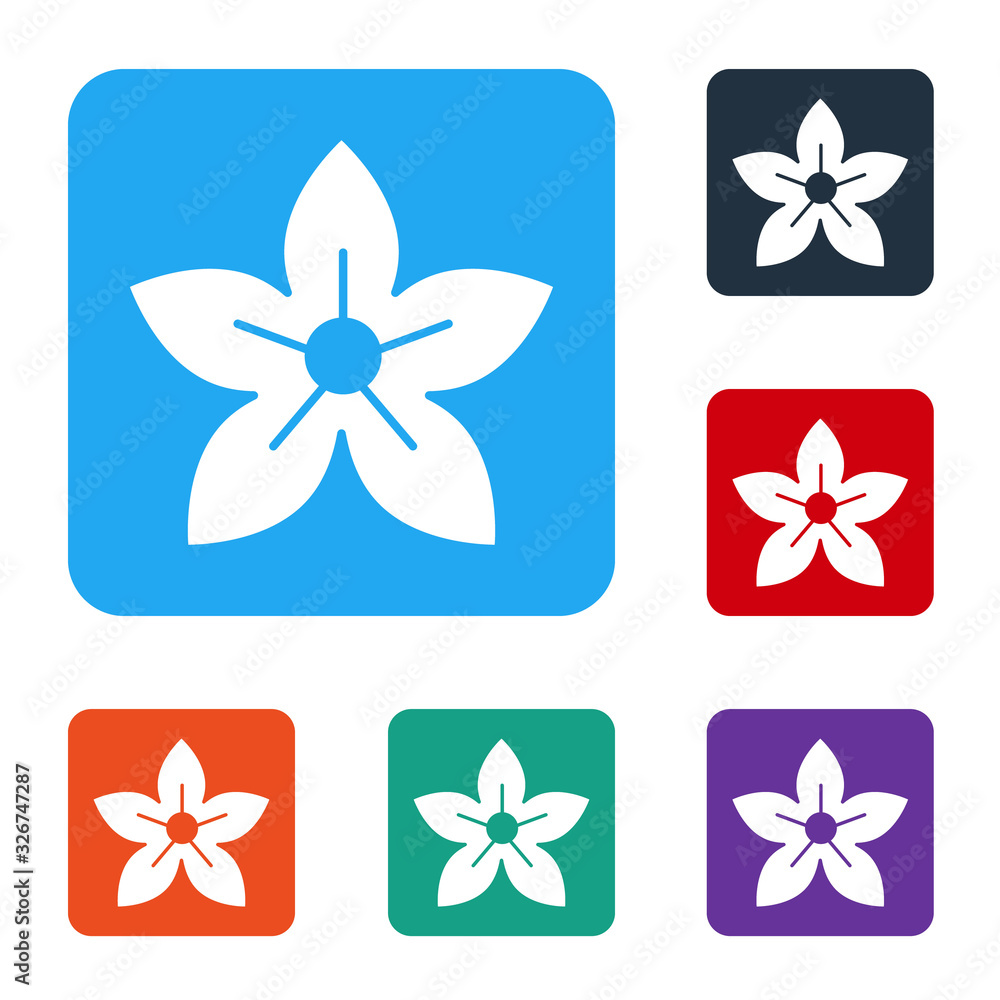 White Lotus flower icon isolated on white background. Set icons in color square buttons. Vector Illu