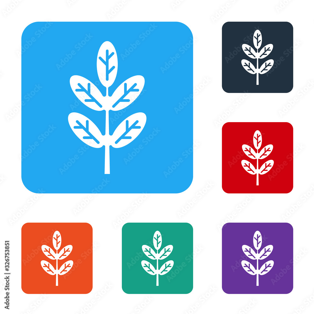 White Leaf icon isolated on white background. Leaves sign. Fresh natural product symbol. Set icons i