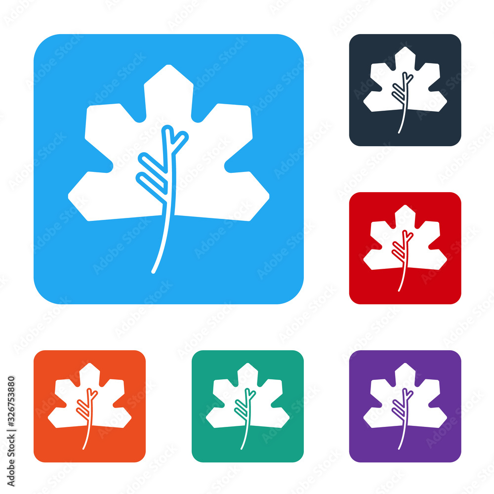 White Leaf icon isolated on white background. Leaves sign. Fresh natural product symbol. Set icons i