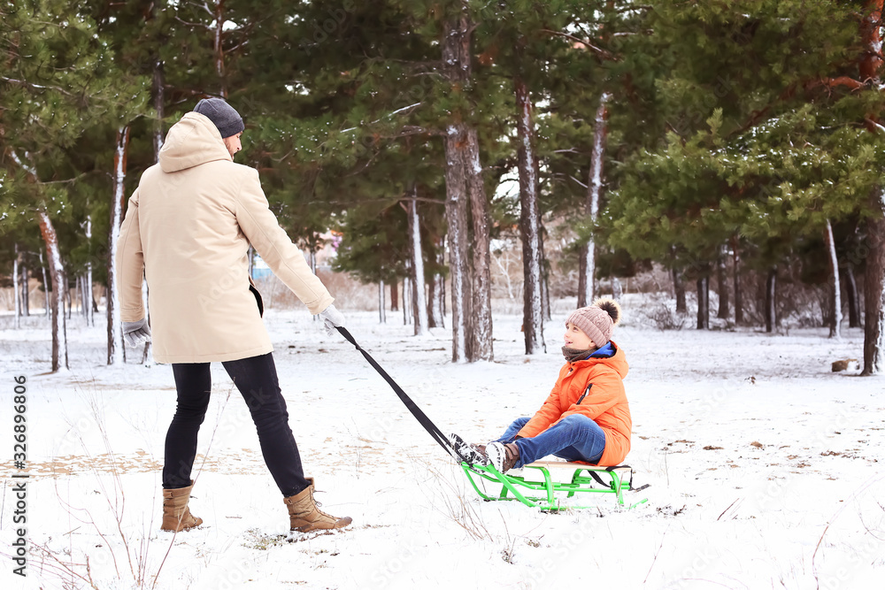 Father with little son sledging in park on winter day