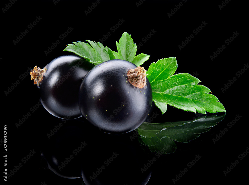 Black currant isolated. Currant black with leaves on black background. Currants on black. Currant on