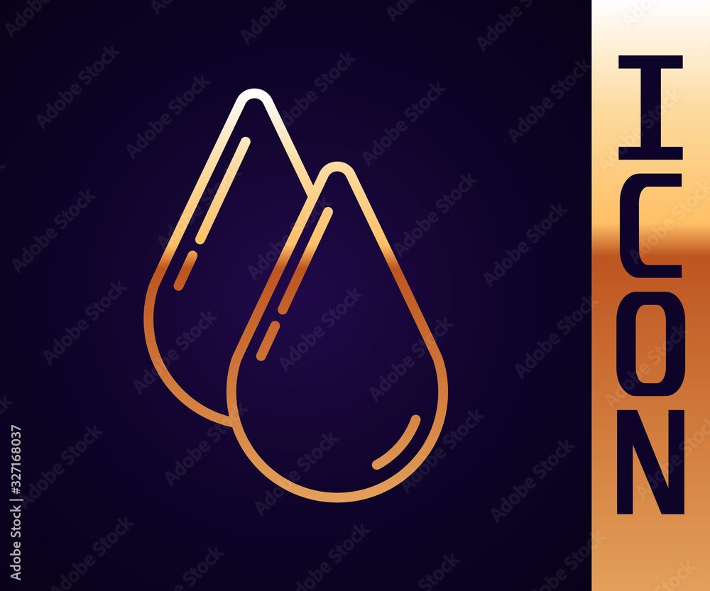 Gold line Water drop icon isolated on black background. Vector Illustration